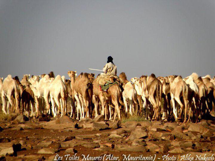 L'Adrar 13
