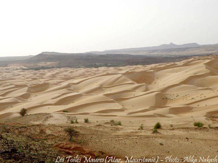 L'Adrar 15