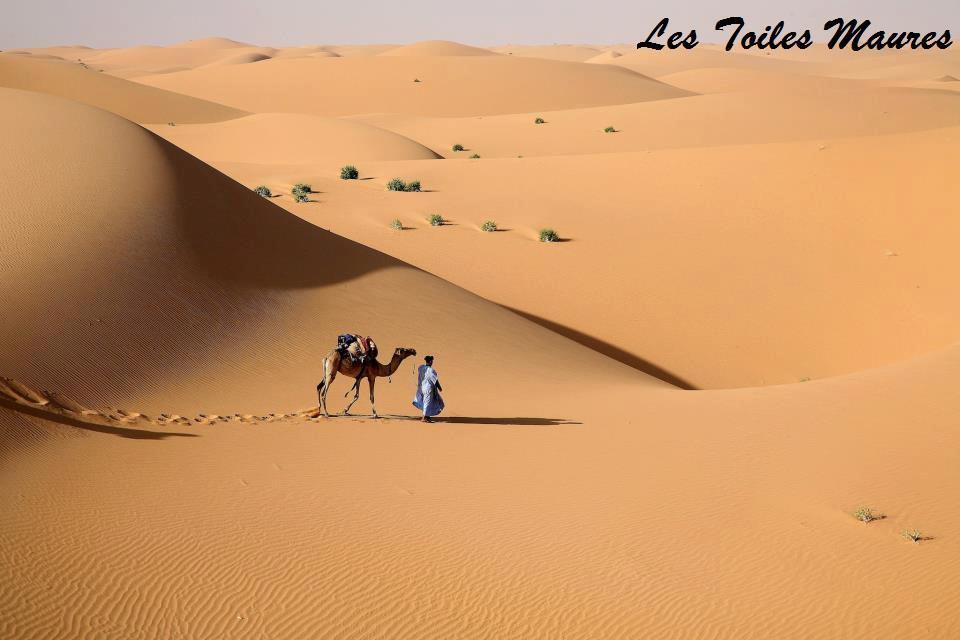 L'Adrar 20