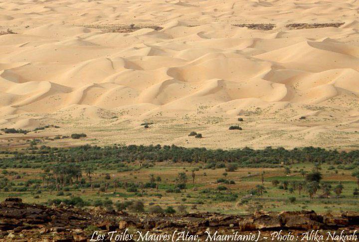 L'Adrar 21