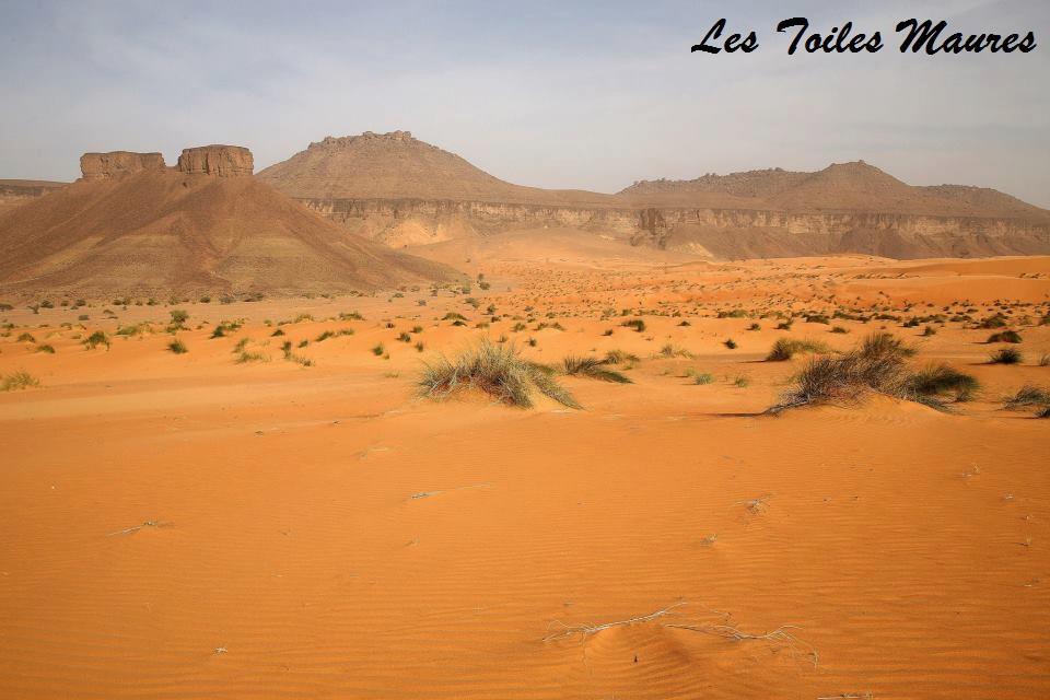L'Adrar 24