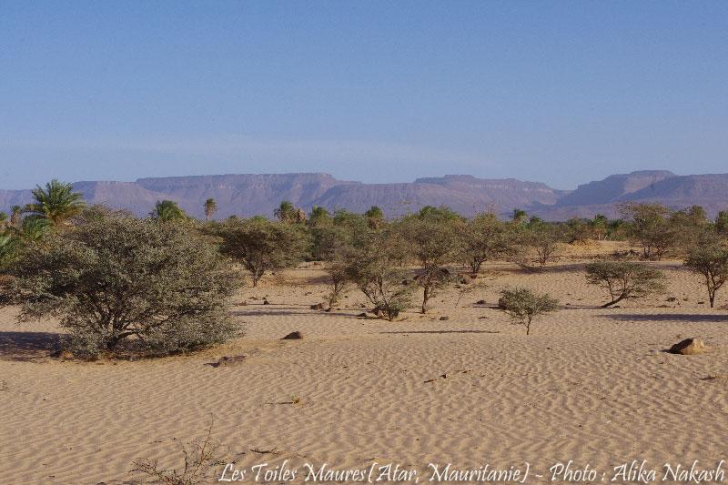 Au fil de l'oued