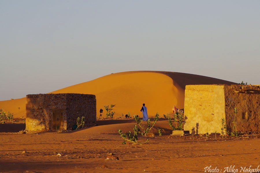 Au pays des princes