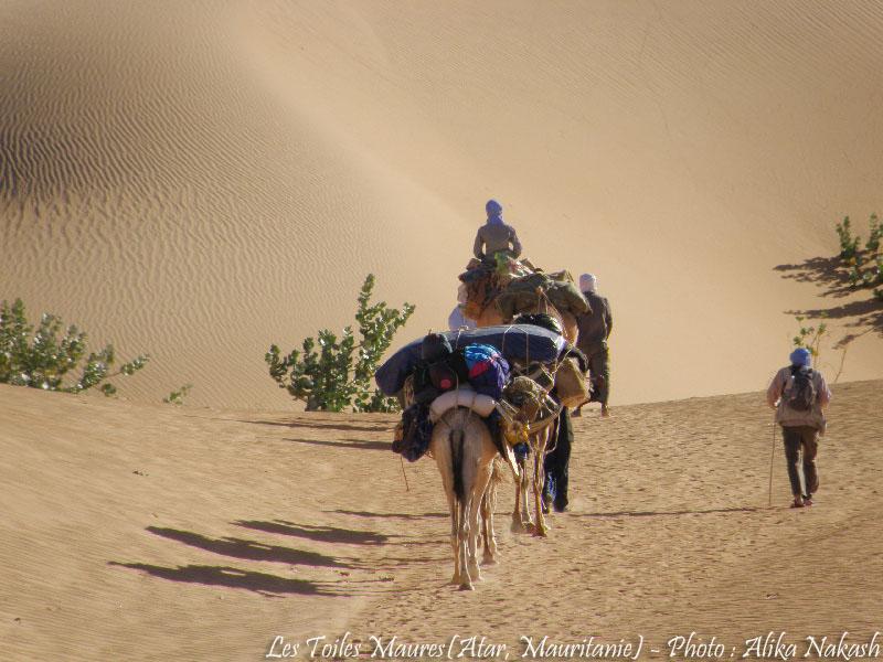 Au printemps chantaient les dunes