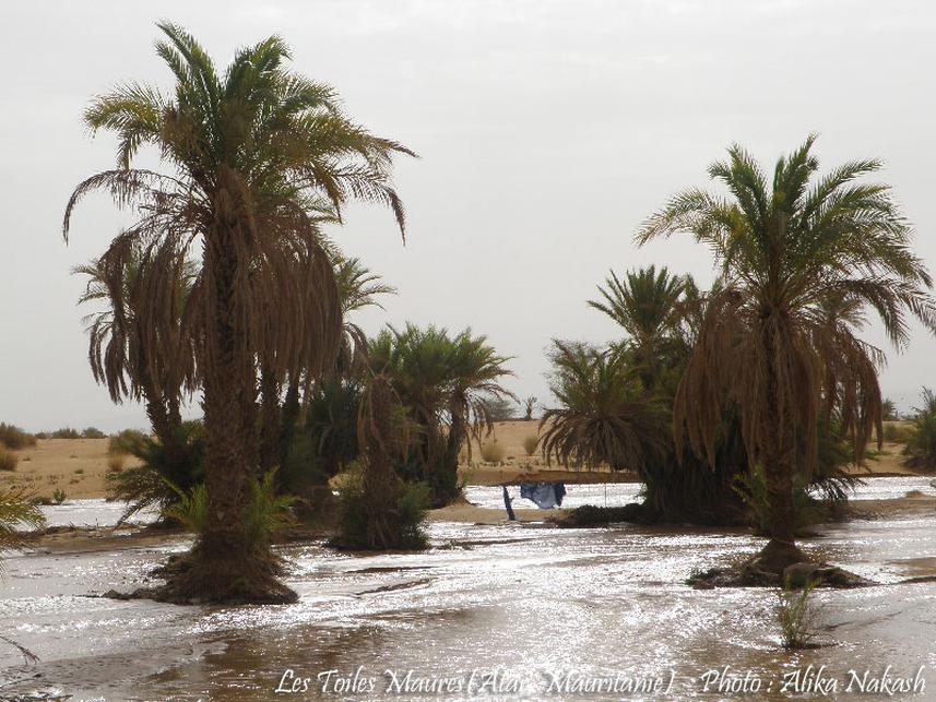 L'oued a coulé ce matin